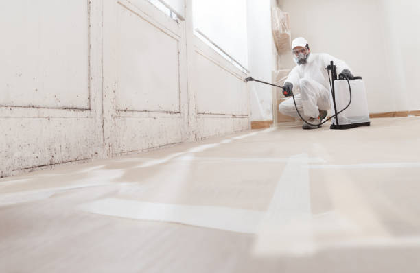 24/7 Emergency Mold Remediation experts in Smithfield, VA