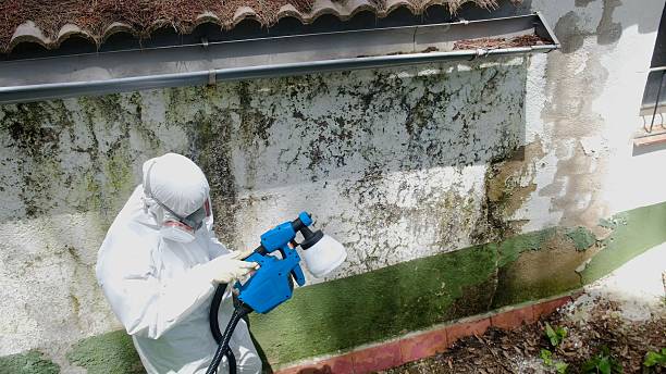 Top rated local Mold Remediation specialists in Smithfield, VA
